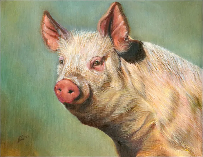 20131079_pig79_700.jpg