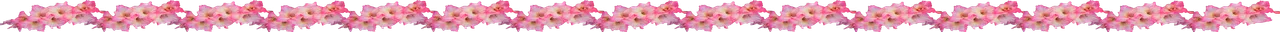 GladiousSteemanner.png