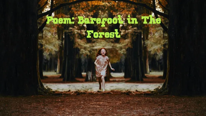 barefootforesttext.jpg