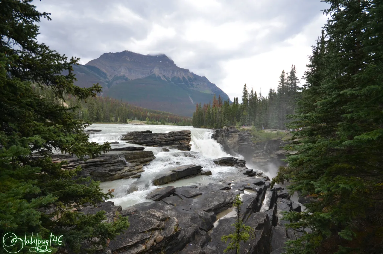 athabasca falls5.jpg