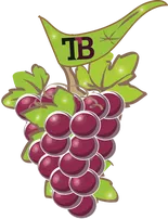 logo-twinkleberry1.png