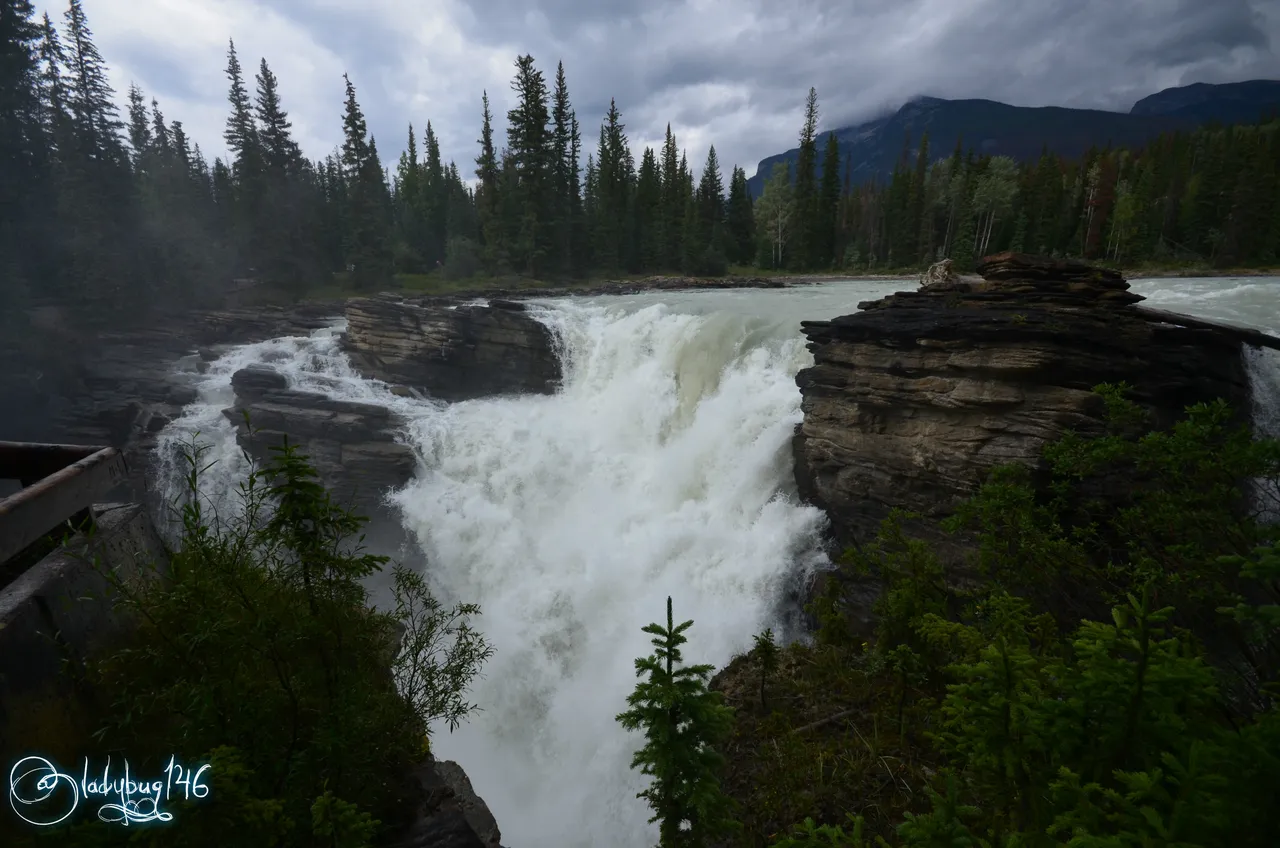 athabasca falls7.jpg