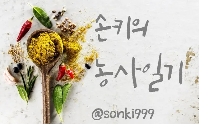 대문.jpg