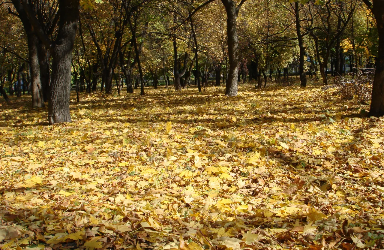 DSC01769-565656556.jpg