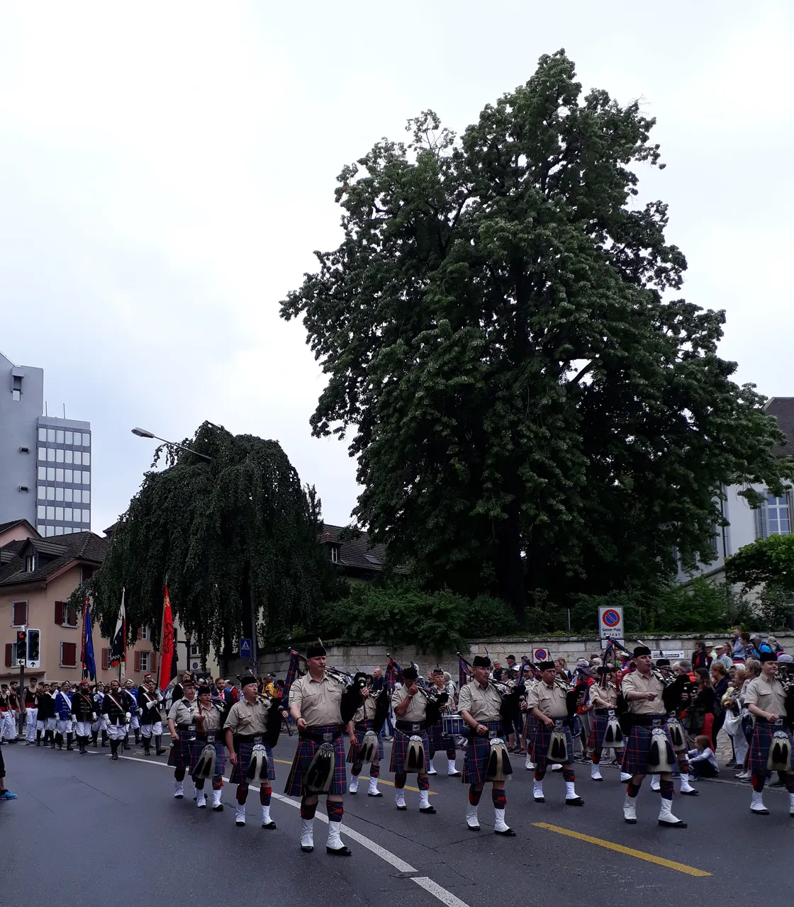 20190622_111231[1].jpg