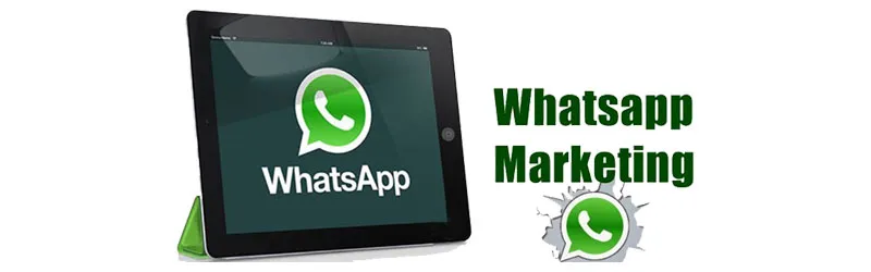 whatsapp-img (1).jpg