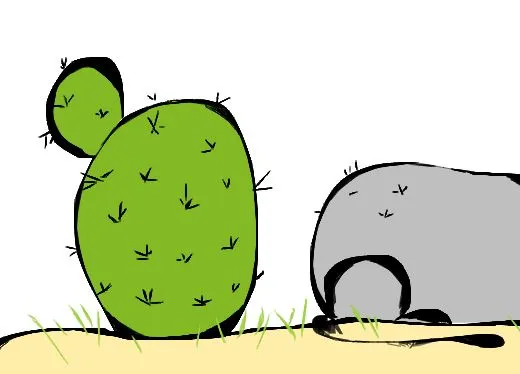 kitty cactus 3.JPG