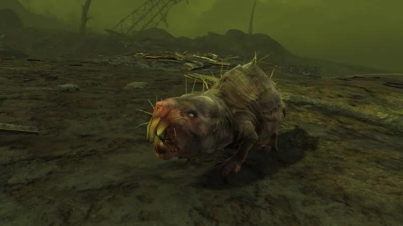 MoleRatBroodMother.jpg