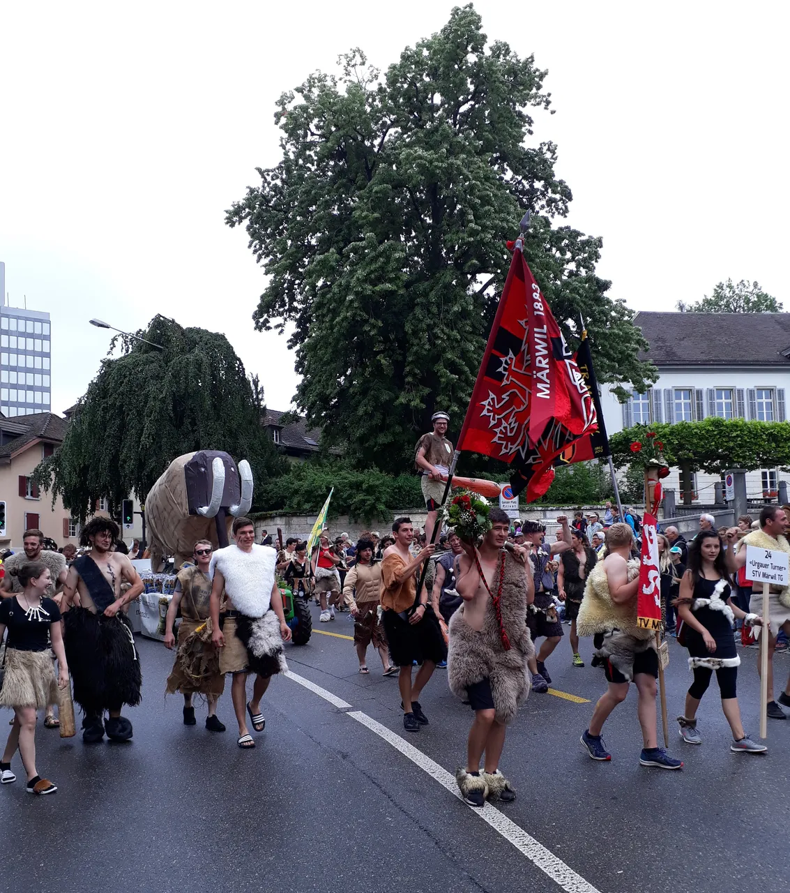 20190622_111329[1].jpg