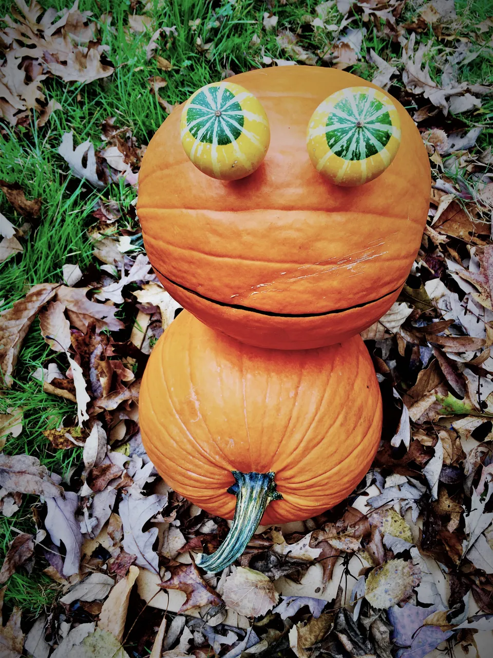 ruperpumpkinasAdam.jpg