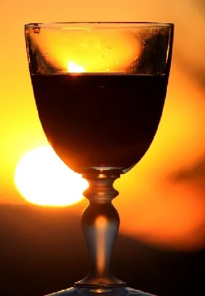 Vino tu sangre.jpg