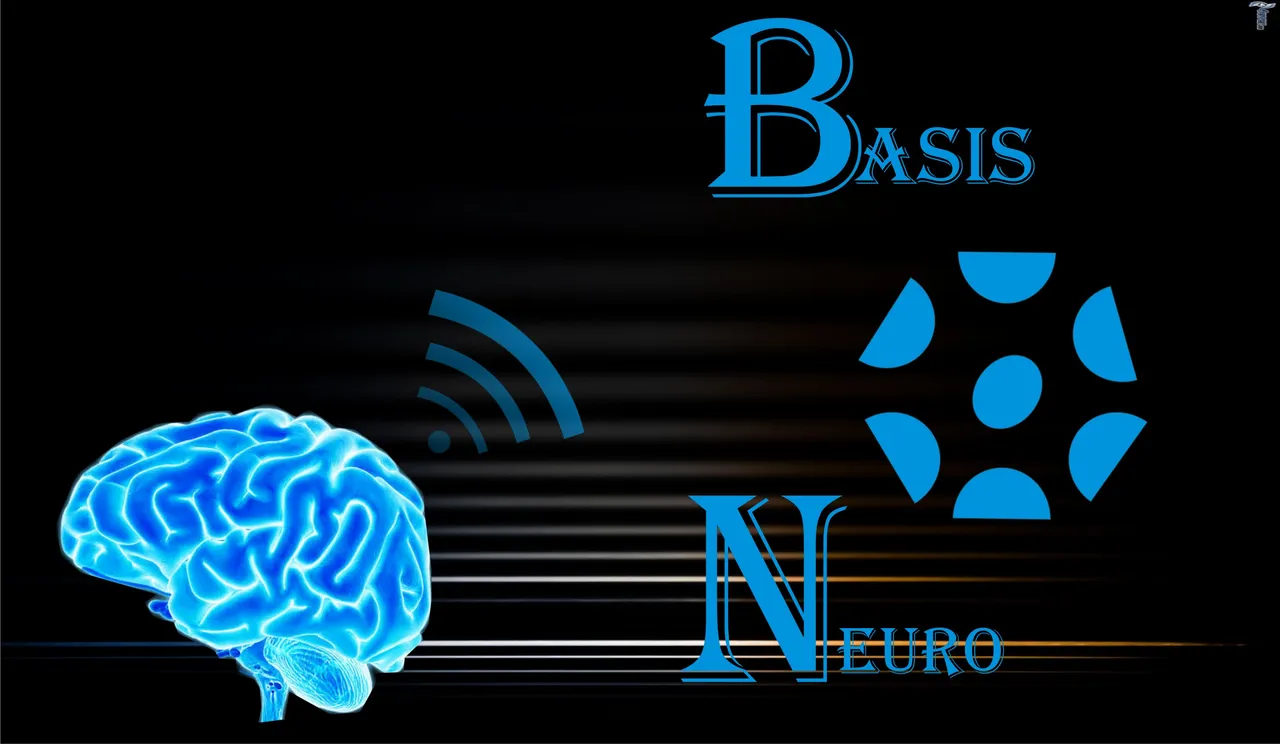david neuro 56.jpg
