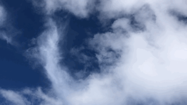 VideoToGif_GIF 8.GIF