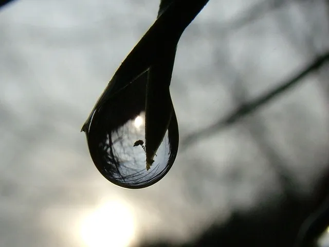 raindrop-76830_640.jpg