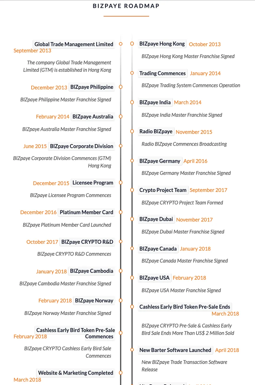 Bizpaye roadmap1.png