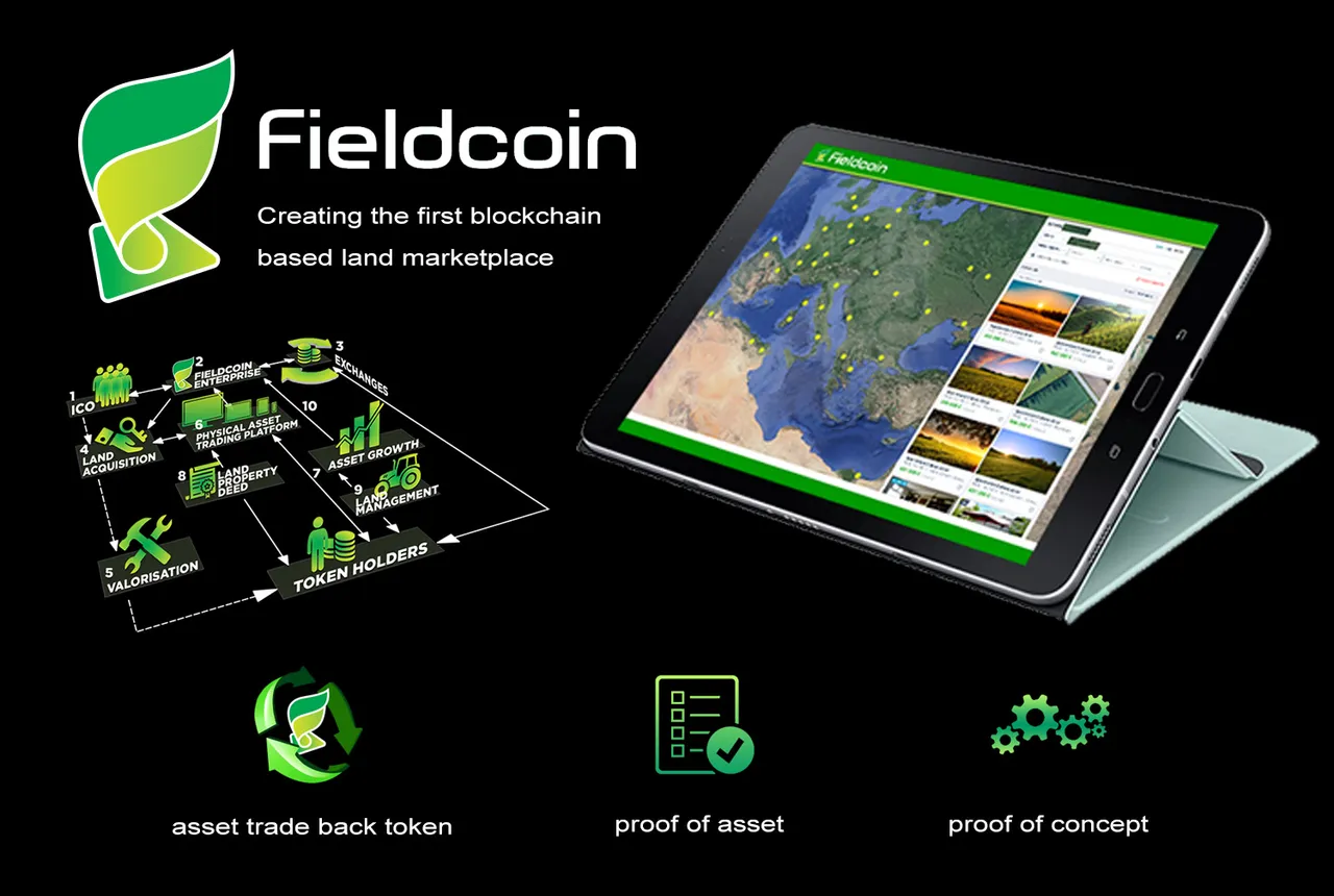 fieldcoin header.jpg