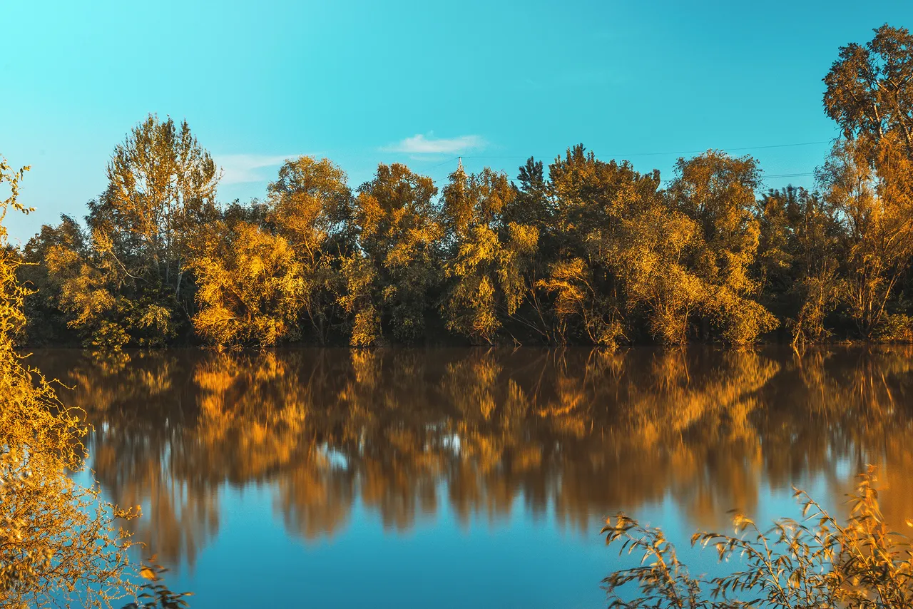 00 DSC_0333-Edit.jpg