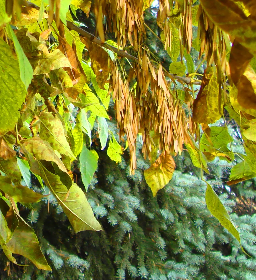 DSC01755-555555555.jpg