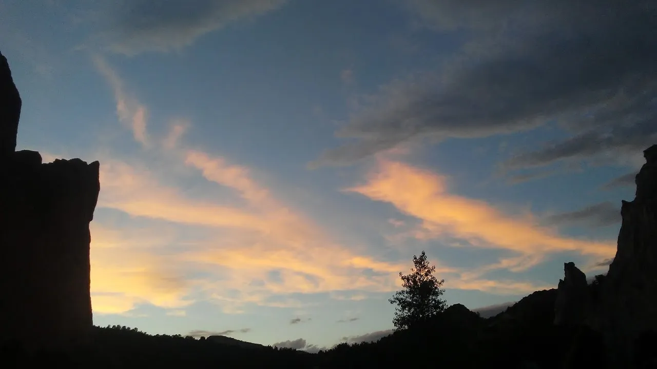 20190716_203226[1].jpg
