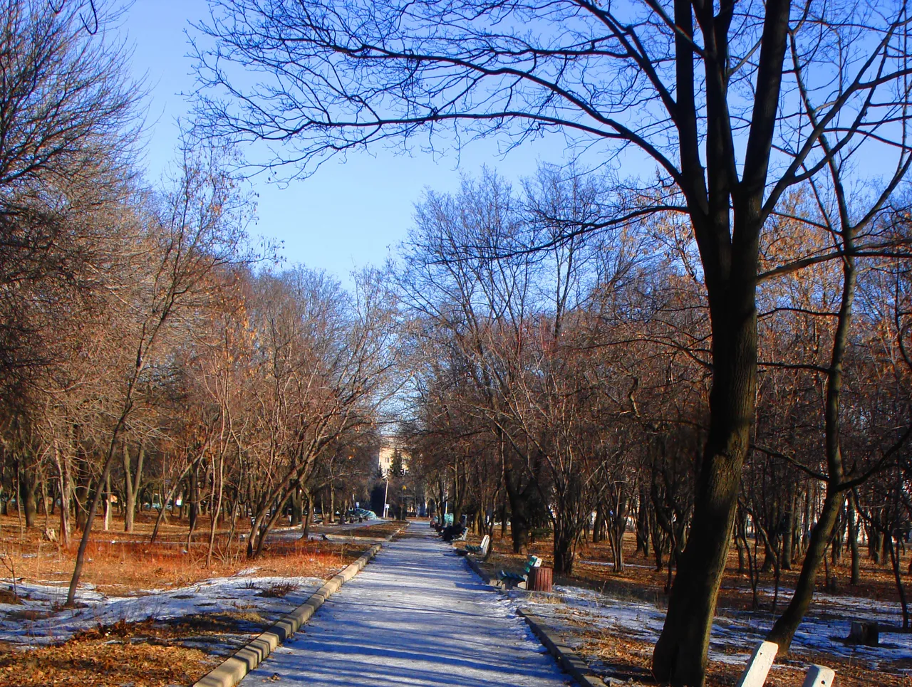DSC01202-222222222.jpg