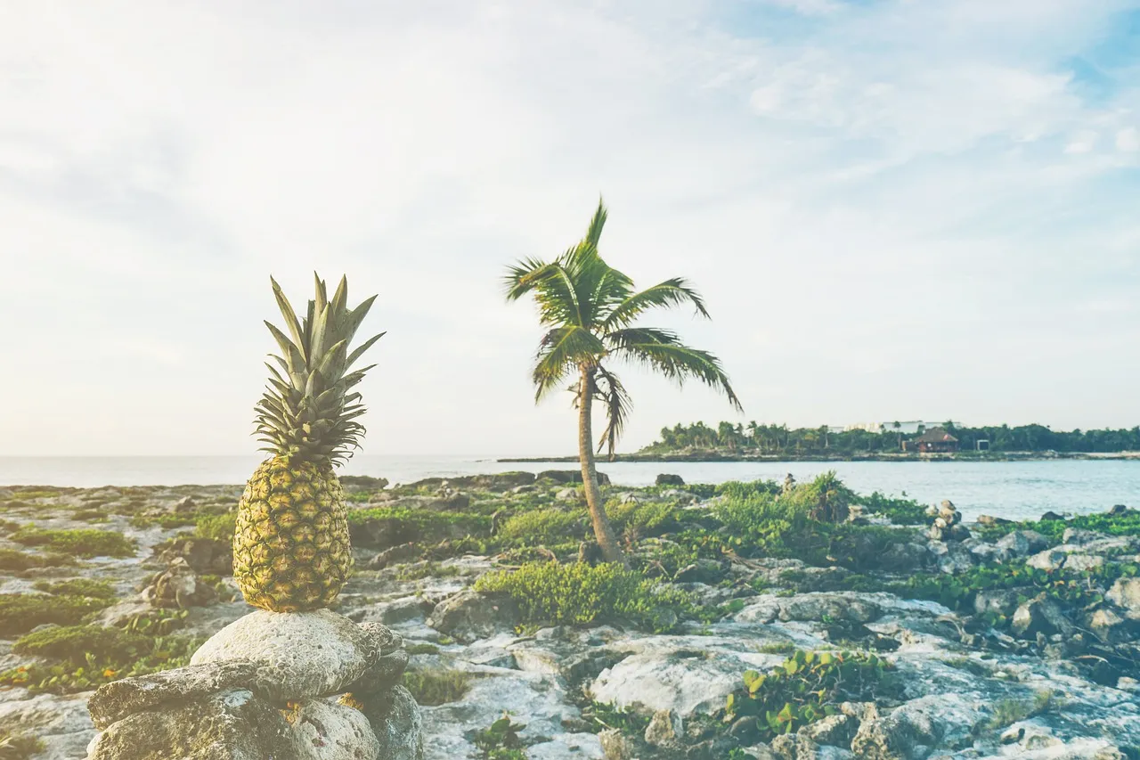 beach-1850818_1280.jpg