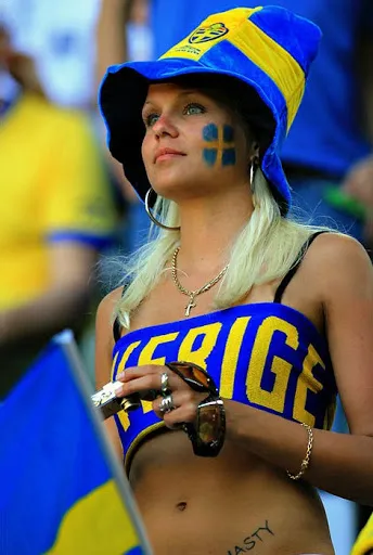 Swedish fans 1.jpg