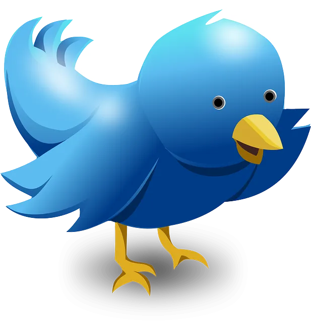 twitter-117595_640.png