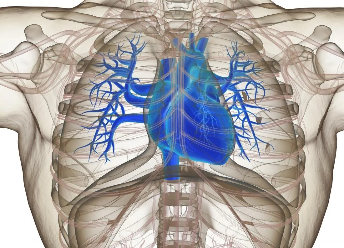 Blue heart in chest diagram