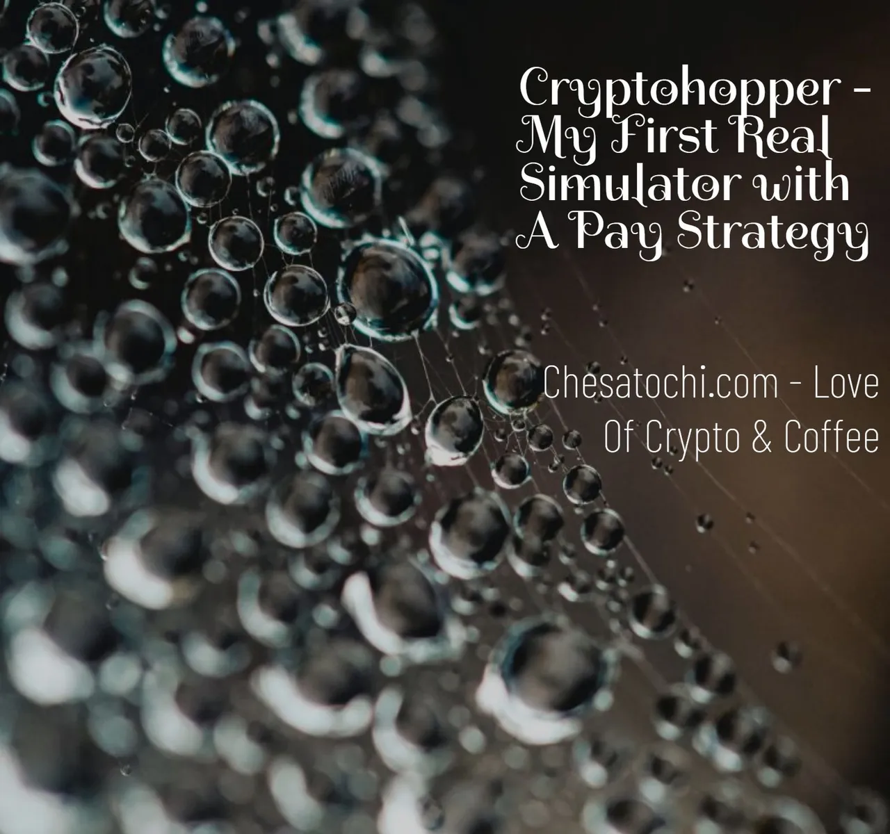 cryptohopper_my_first_real_simulator.jpg
