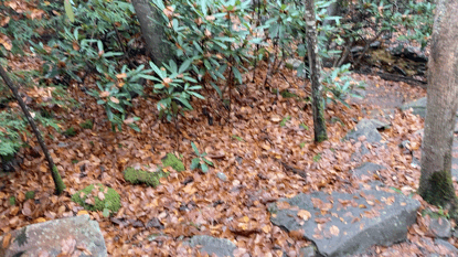 0F4A84C674744AC5807F8D6672DF1EF7.gif
