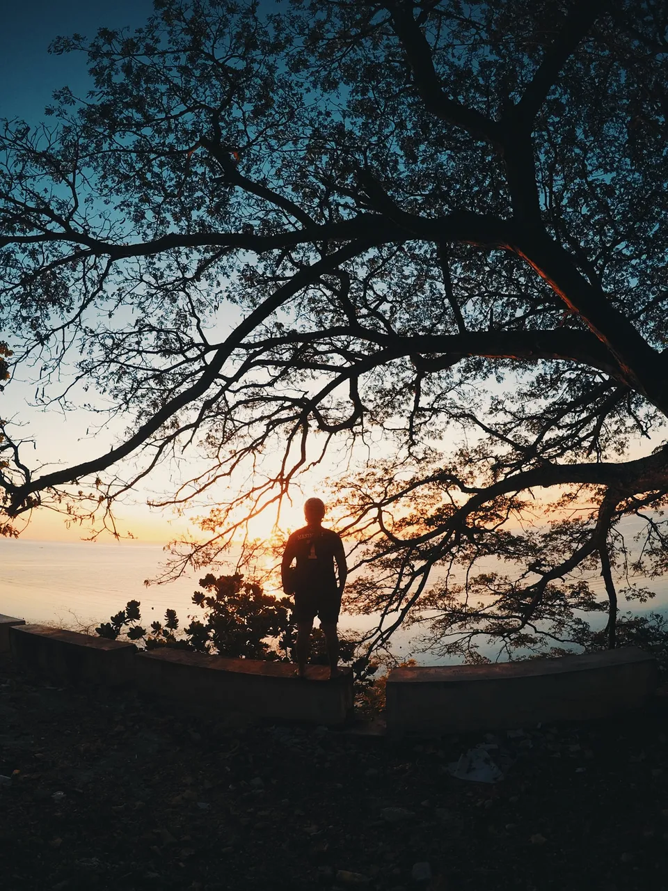 opacarophile is a lover of sunsets.jpg