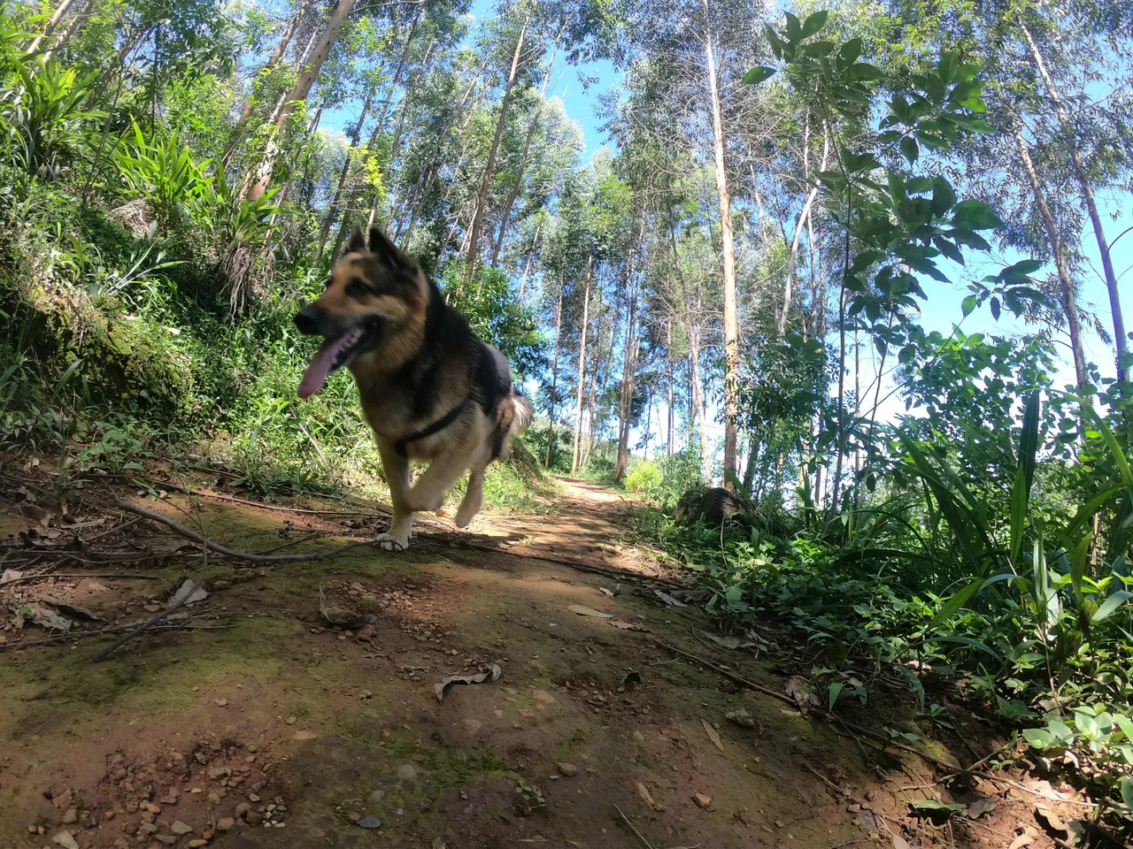 GOPR4226_ALTA689052778269520899_high.JPG