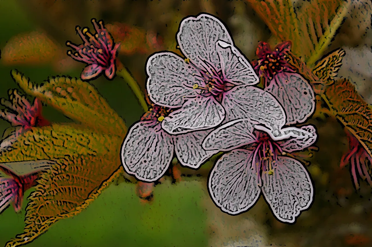 pink_blossoms_scape_multi2_1600.JPG