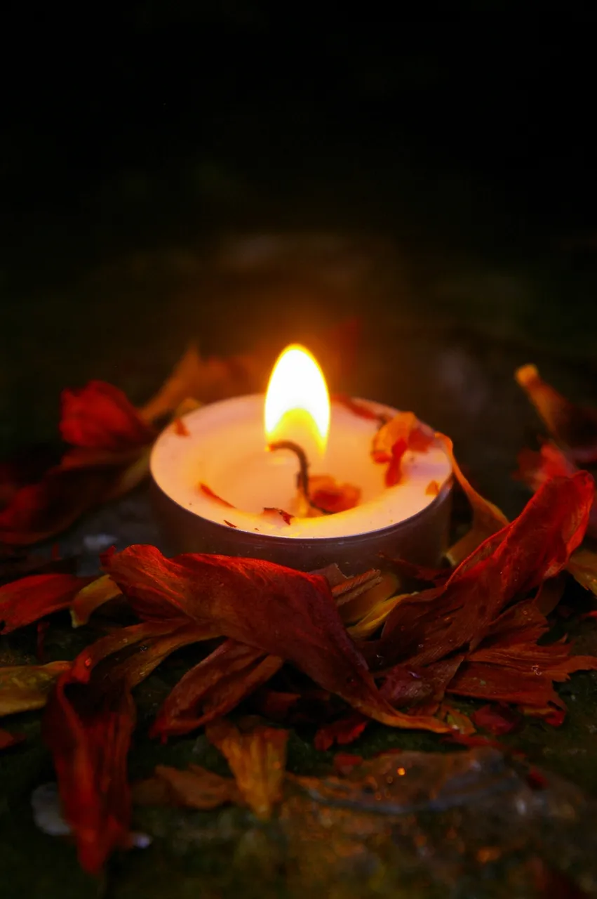 devotion_tealight_scape_01_1600.JPG