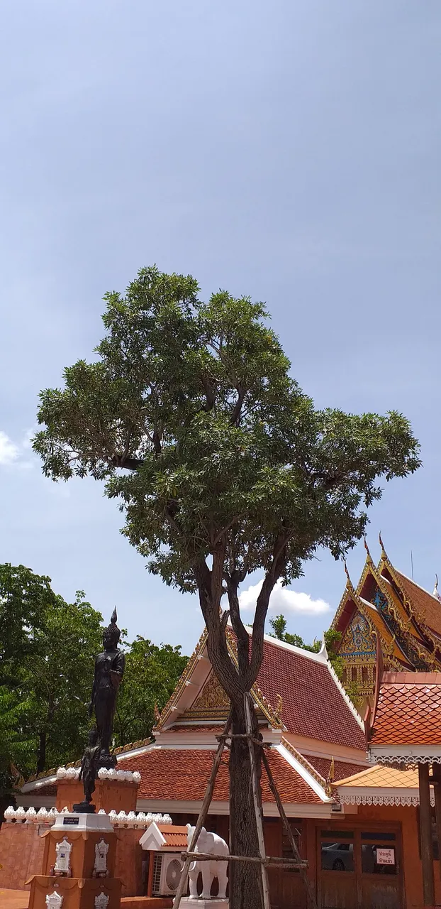 wat_phasuk_maneejak109