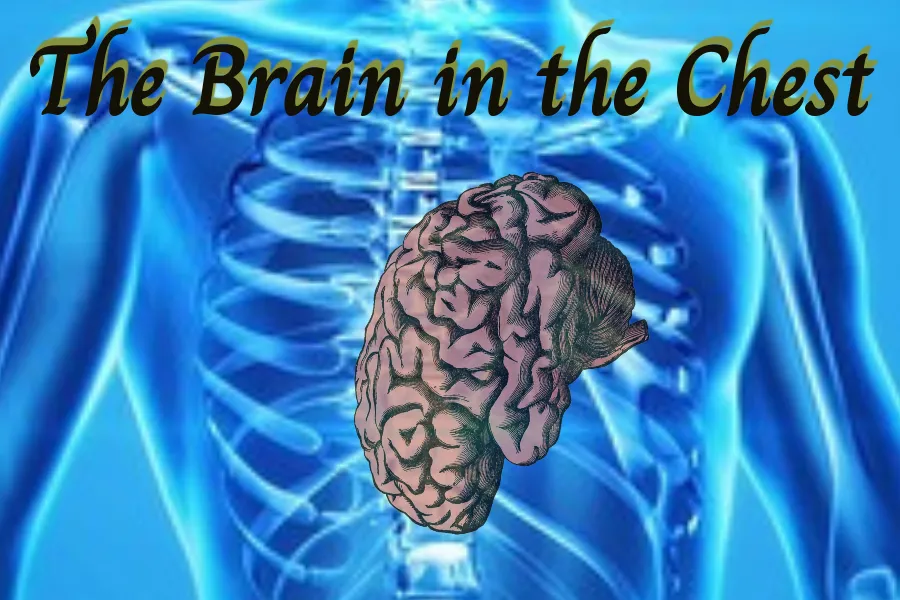 the_brain_in_the_chest.png