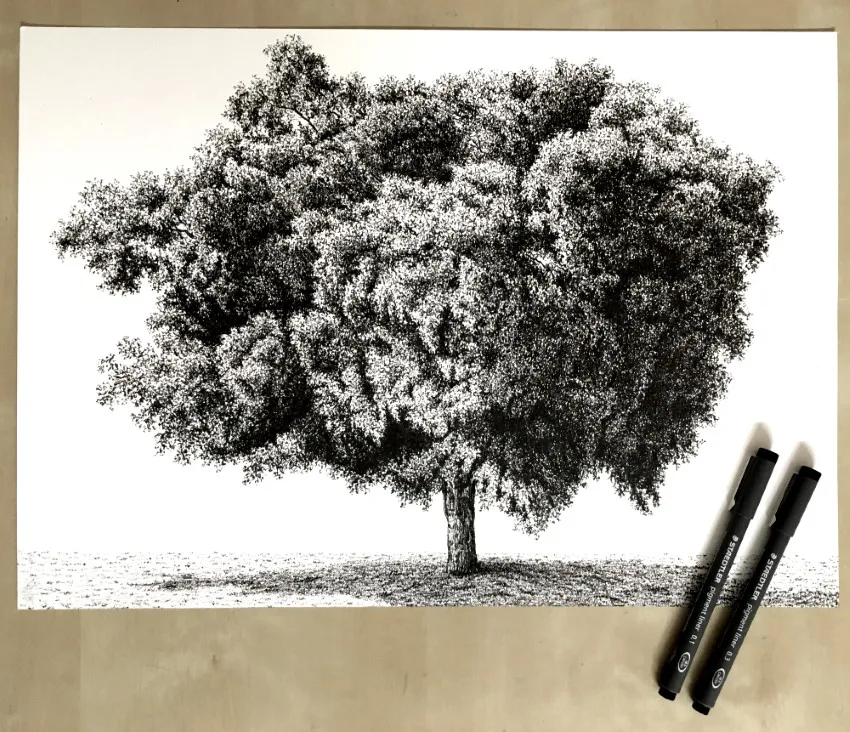 The Meaning of the Tree Drawing Test and Tricks to Successfully Pas...