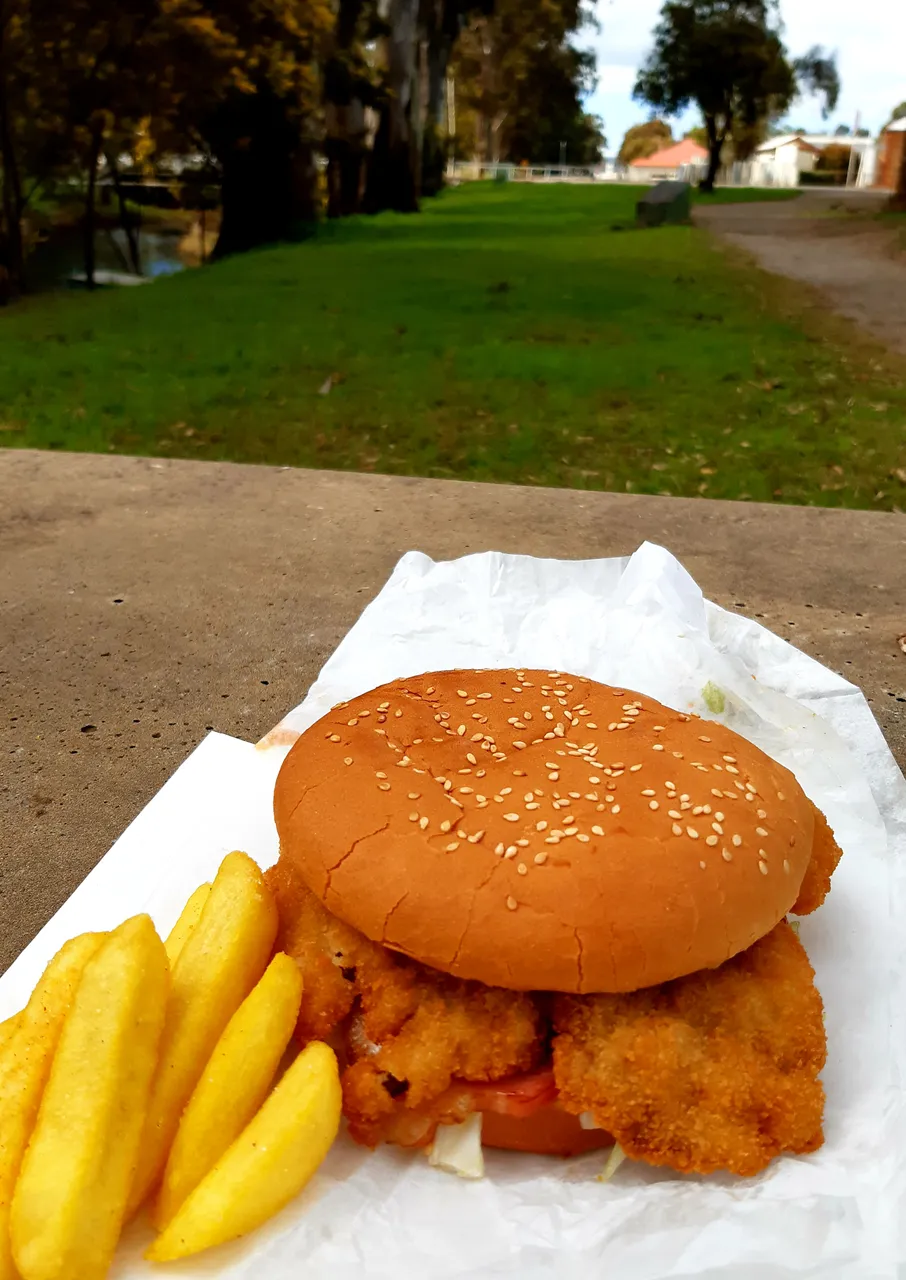 Schnitzel Burger with chips from Tucker on Ayr in Jamestown, South Australia