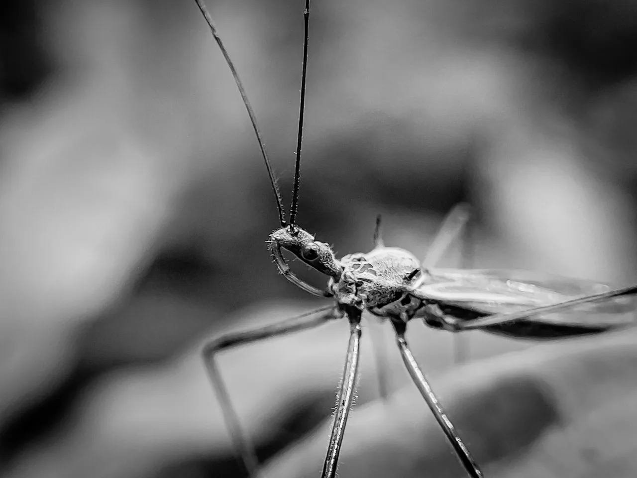 img_0.1658143815175477.jpg
