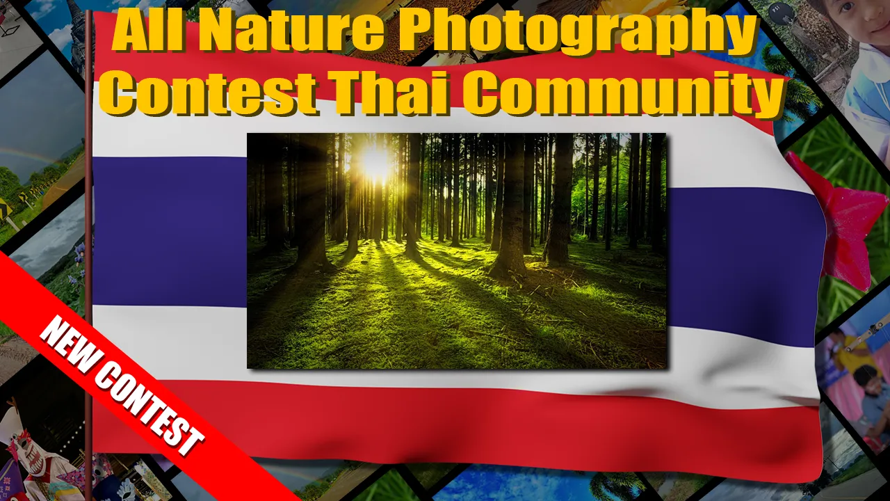 all_nature_new_contest.png