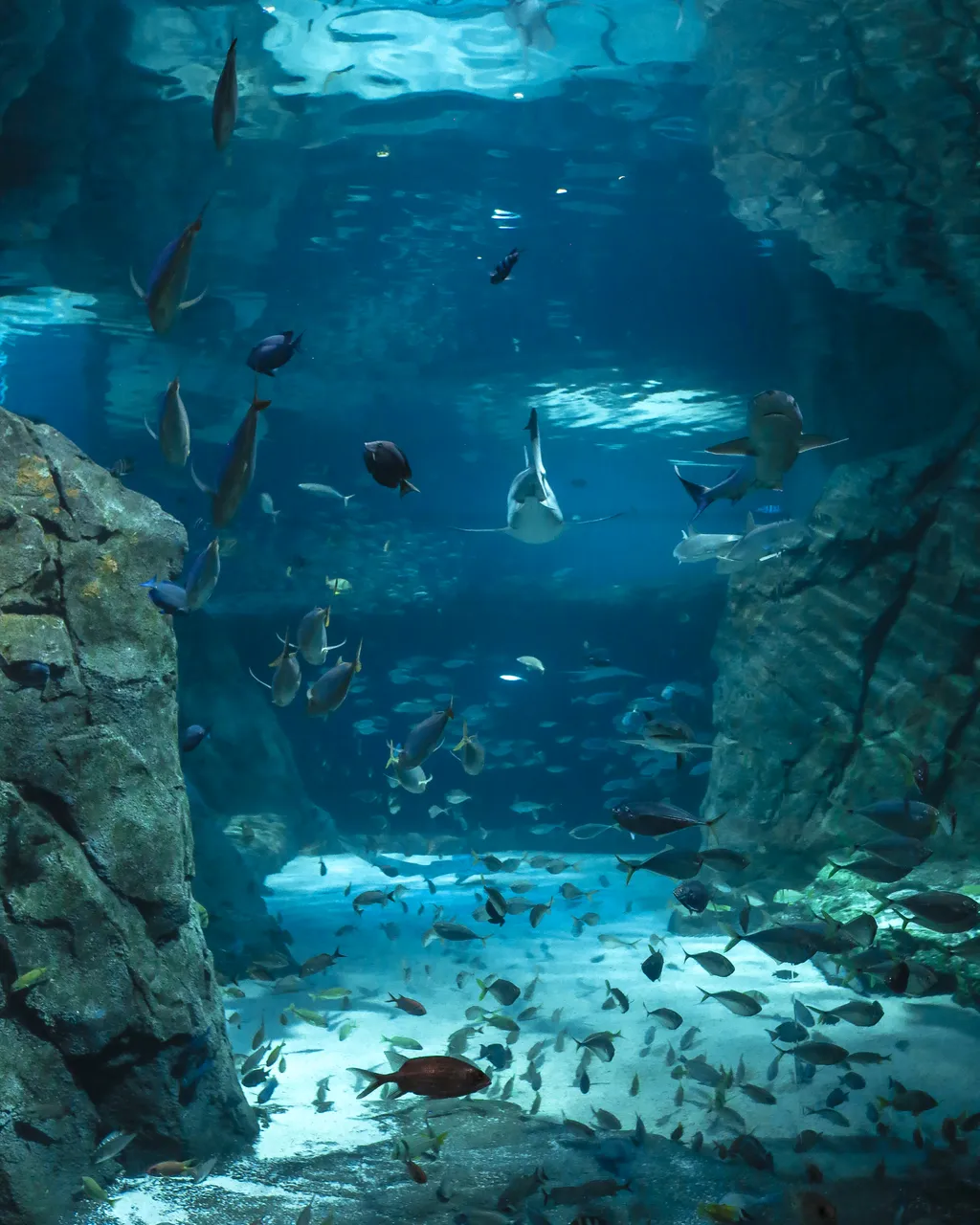 aquarium_union_station.jpg