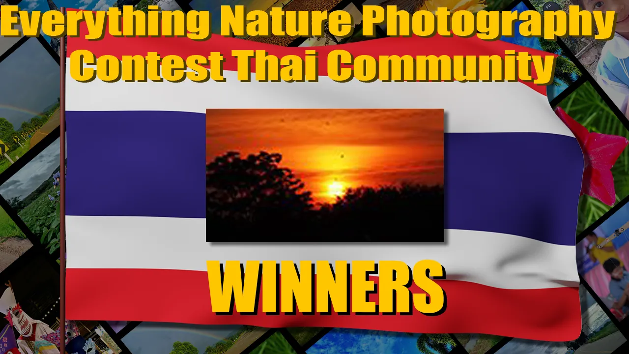 thai_contest_small_win.png