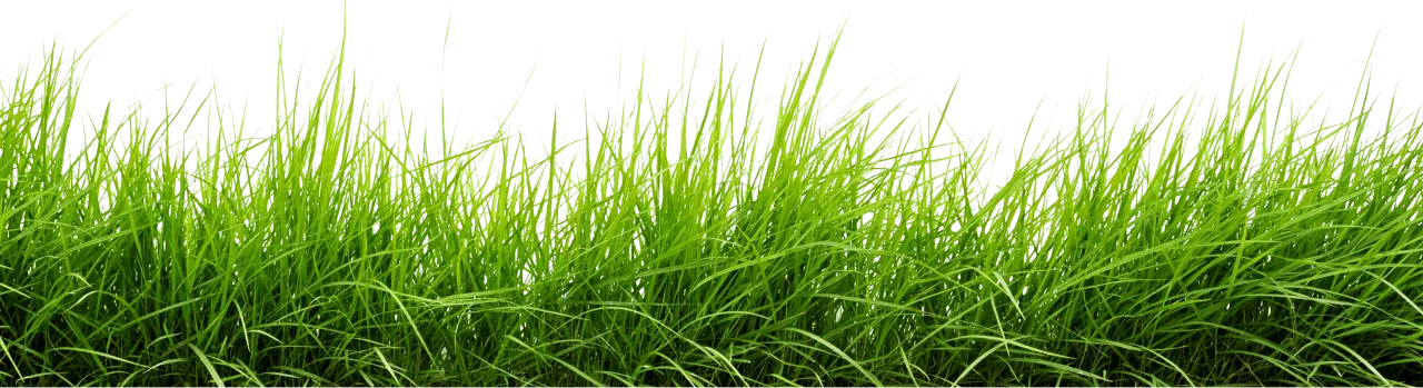 line_of_grass_1280x349.png