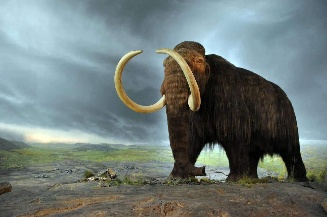 1599px_woolly_mammoth.jpeg