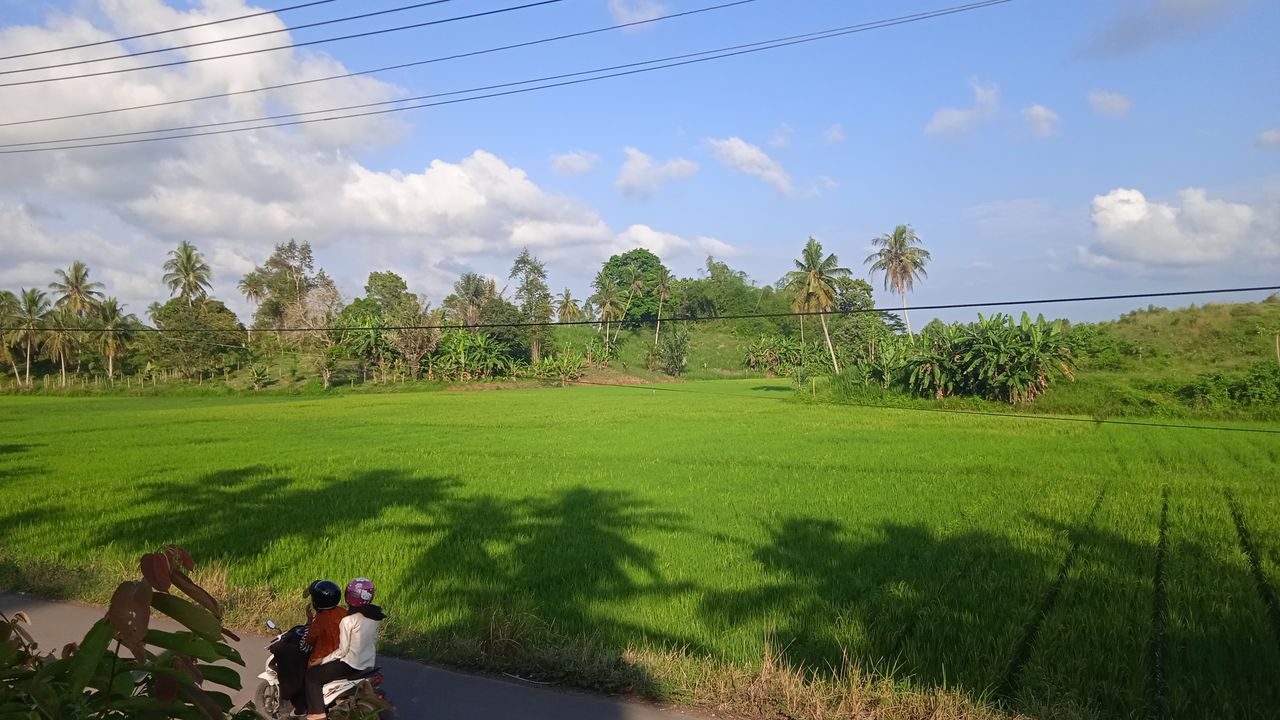 img_0.9709772441406406.jpg