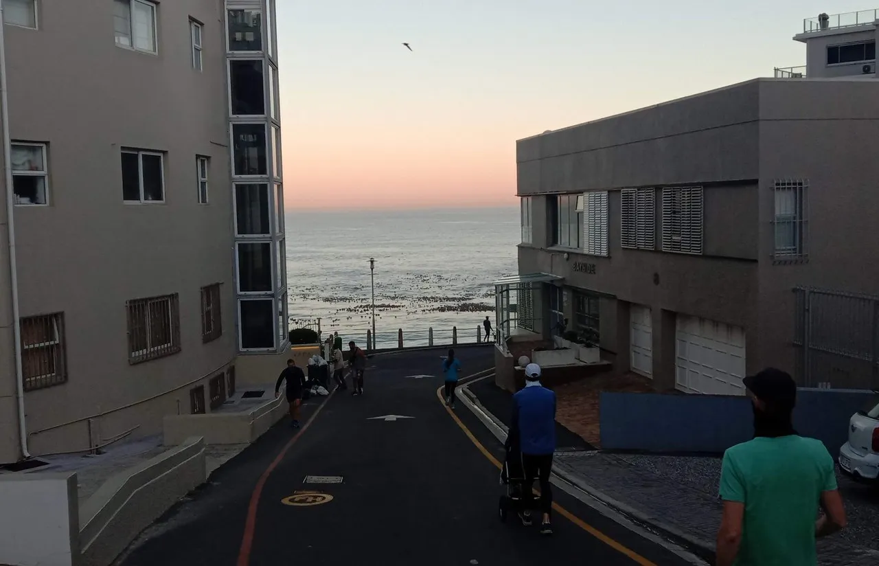 bin_day_in_sea_point_2.jpg