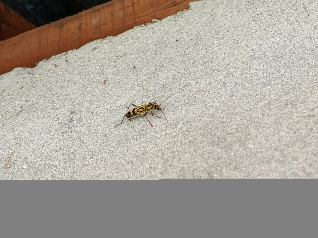 IMG_20250706_145409_252.jpg