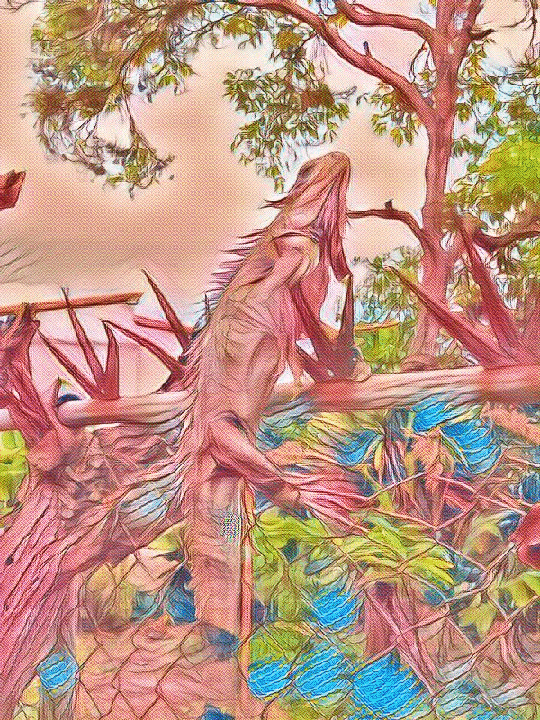 imageedit_15_8697138436.gif