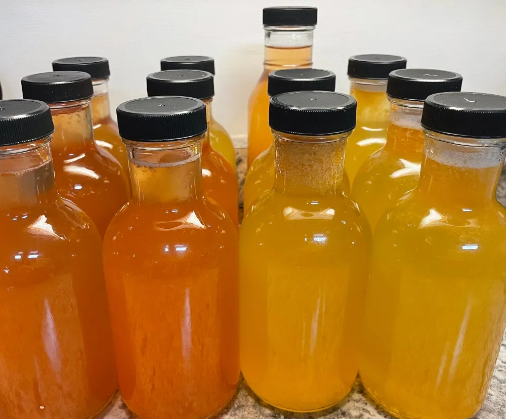 kombucha-tea-ferment-29.jpg