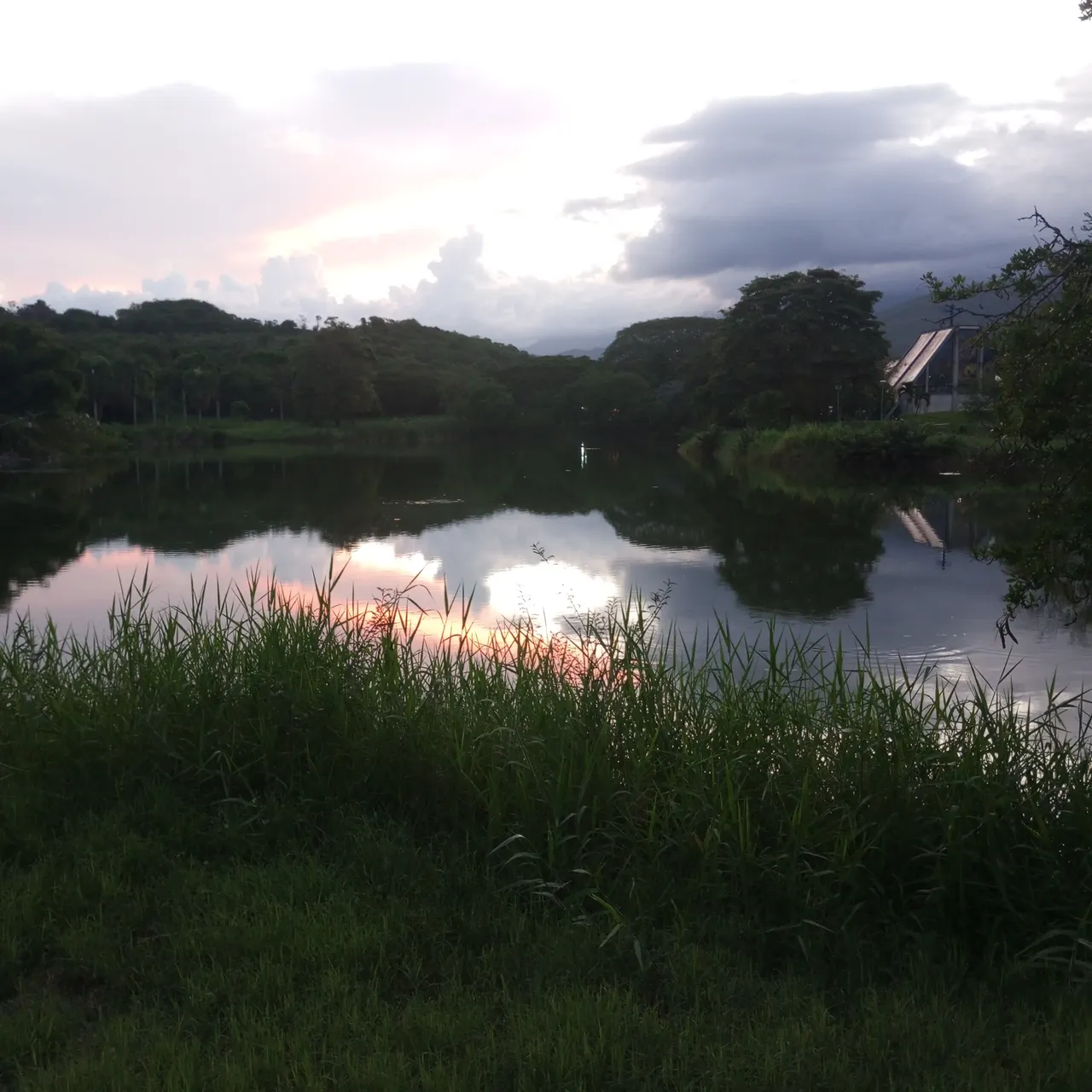 IMG_20240617_185802_359.jpg